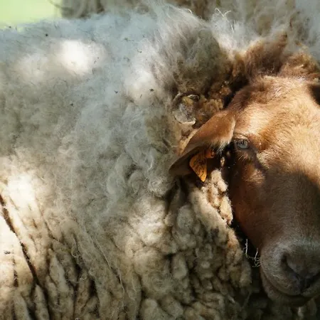 De Terre Et De Charme *