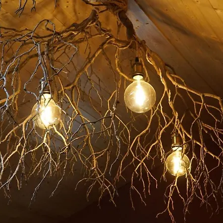 De Terre Et De Charme Semesterbostad *