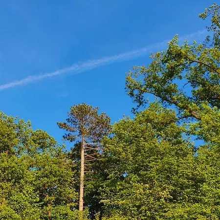 De Terre Et De Charme