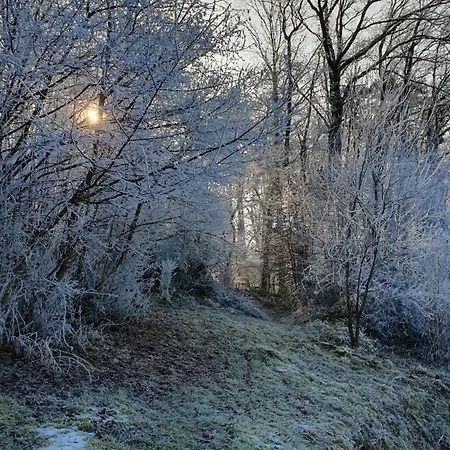 Semesterbostad De Terre Et De Charme Hamoir